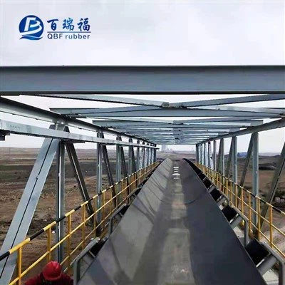 Băng tải chịu lạnh